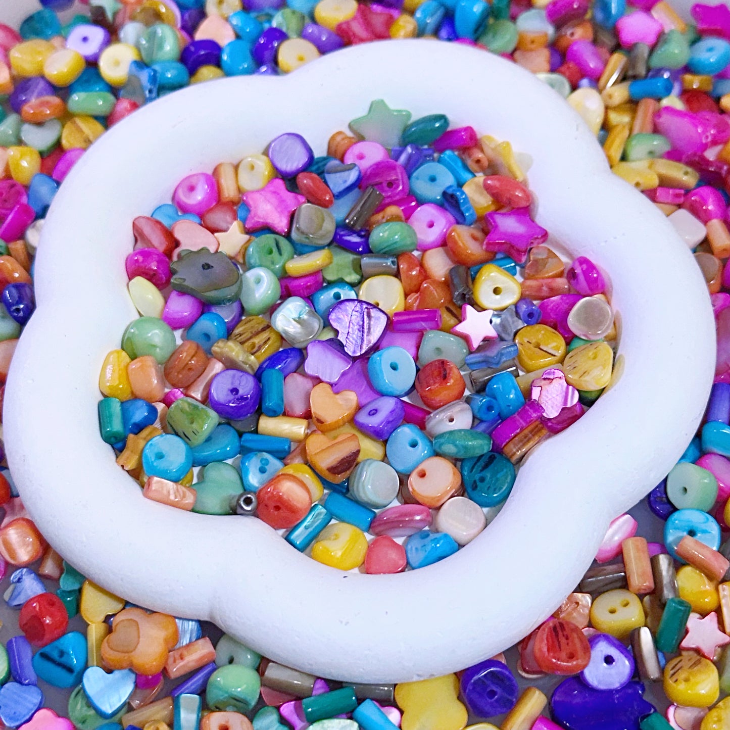 【Jewelry】Live Product-Rainbow Shell Mix