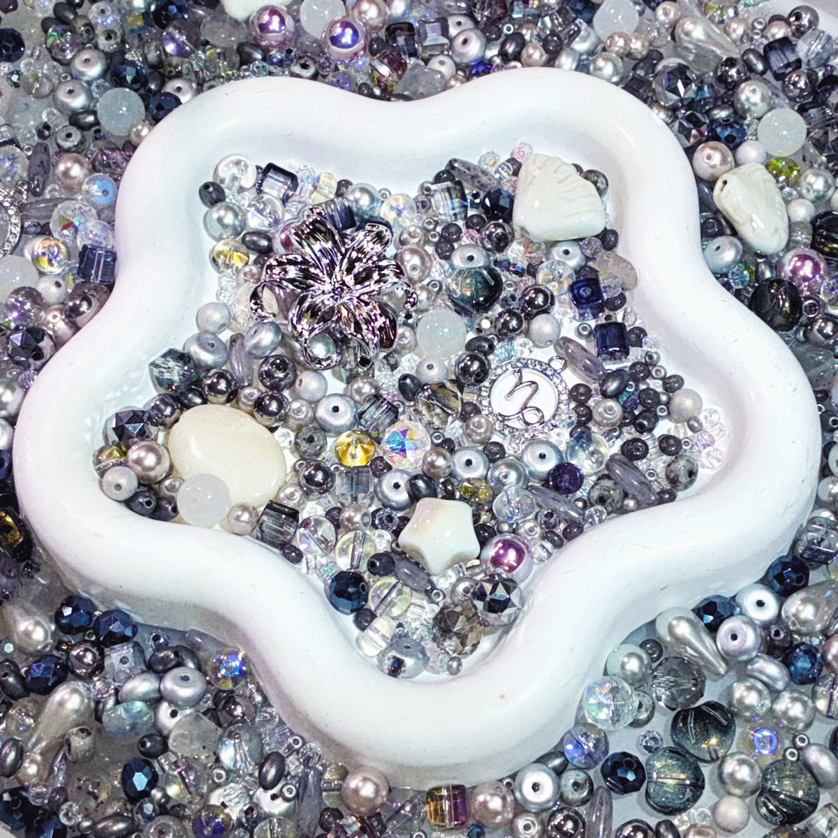【For Jewelry】Live Product-Zodiac Capricorn Mix