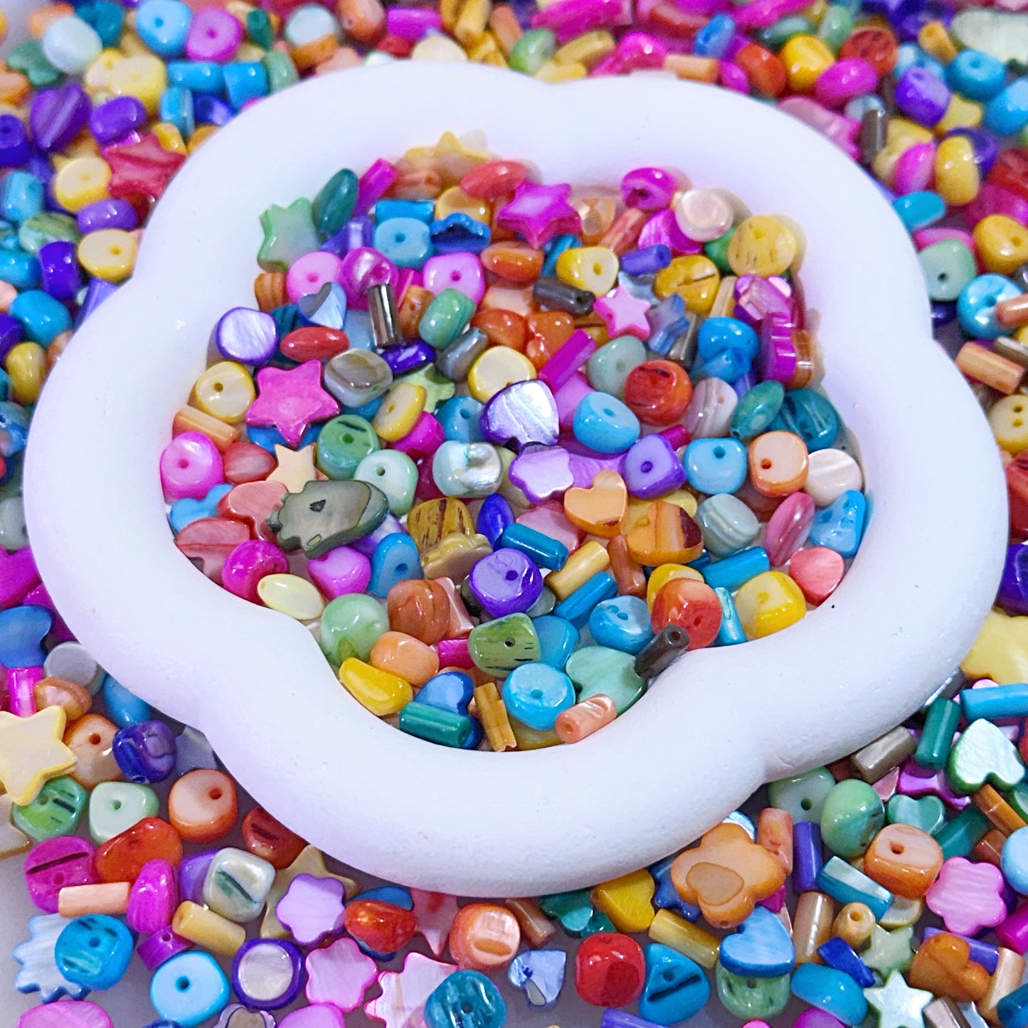 【Jewelry】Live Product-Rainbow Shell Mix
