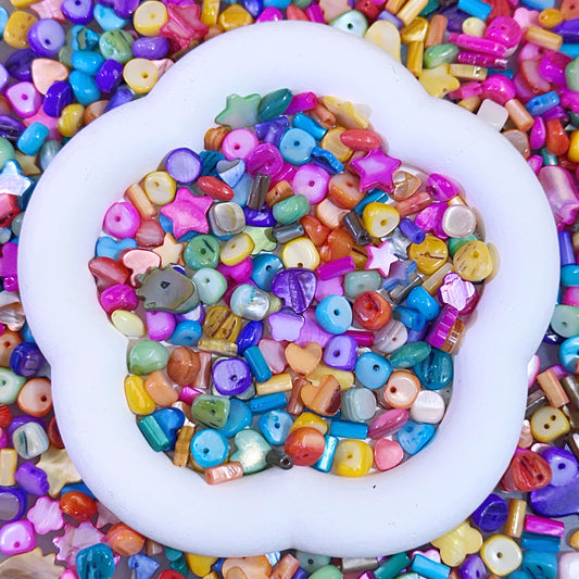 【Jewelry】Live Product-Rainbow Shell Mix