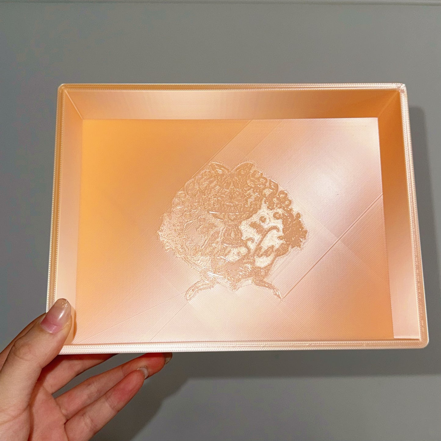 【💎Solinshop Exclusive】 Solinshop Exclusive Tray( 20*15*5cm）